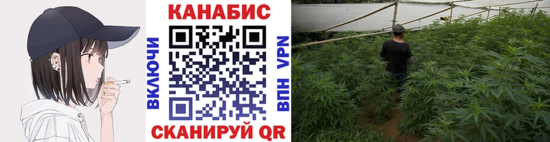 Купить где  Заволжье  Каннабис ГИДРОПОН 